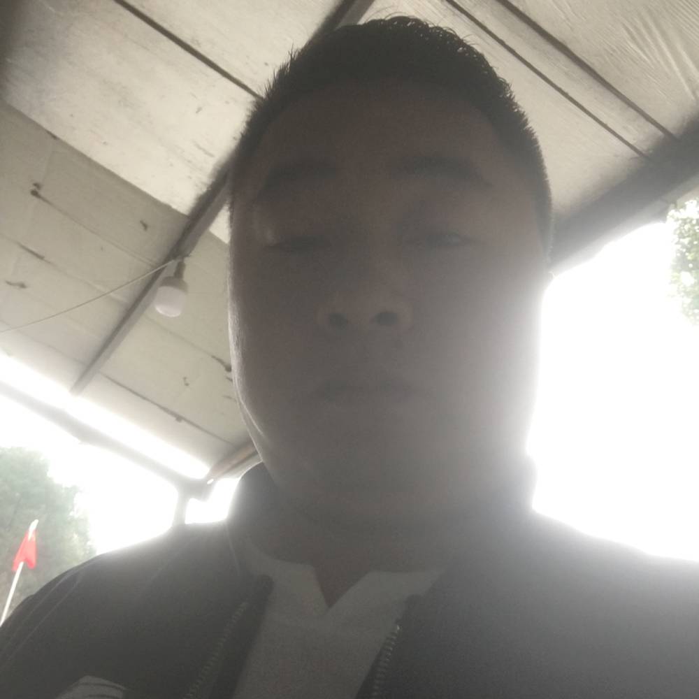 太阳温柔的照片