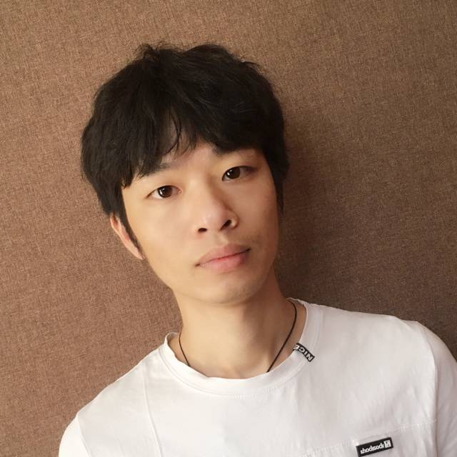树叶高高的照片