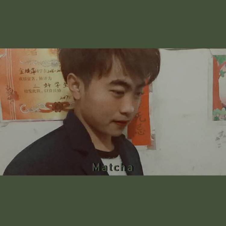 惊鸿的沉默的照片