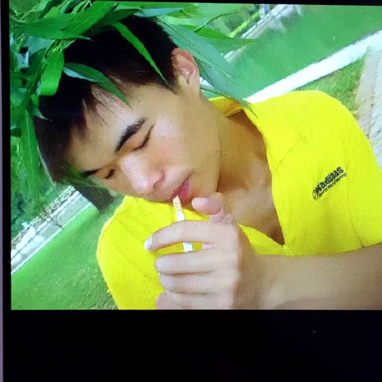 一路逆小风的照片