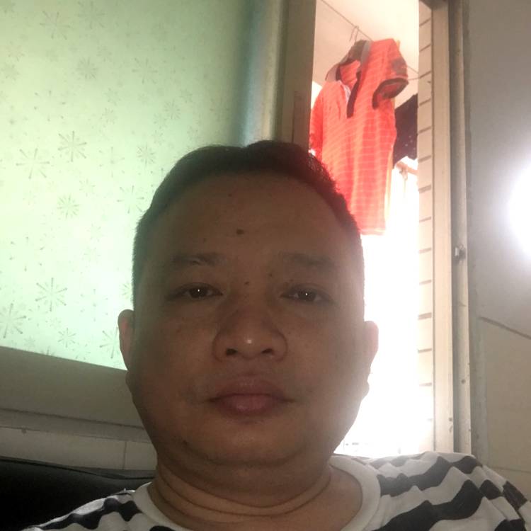鱼相许安静的照片