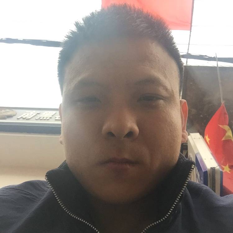 猫咪动听的照片