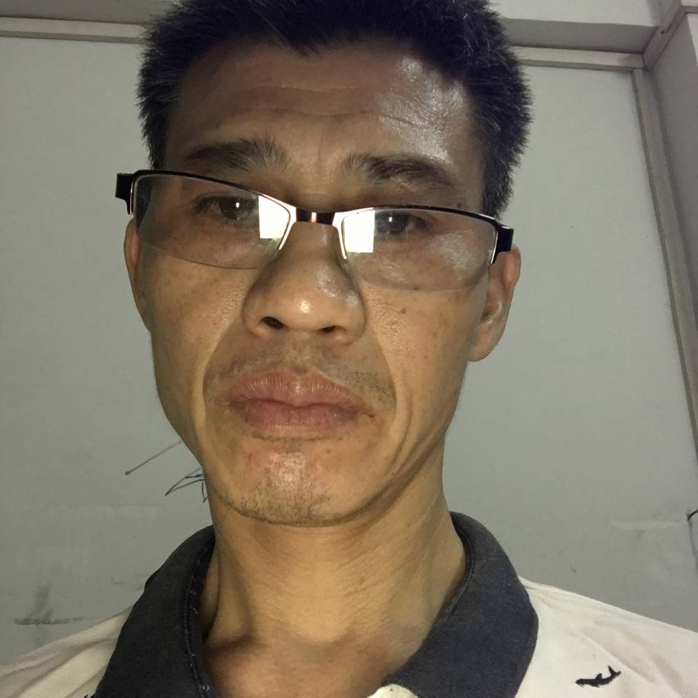 小鸽子给优雅的照片