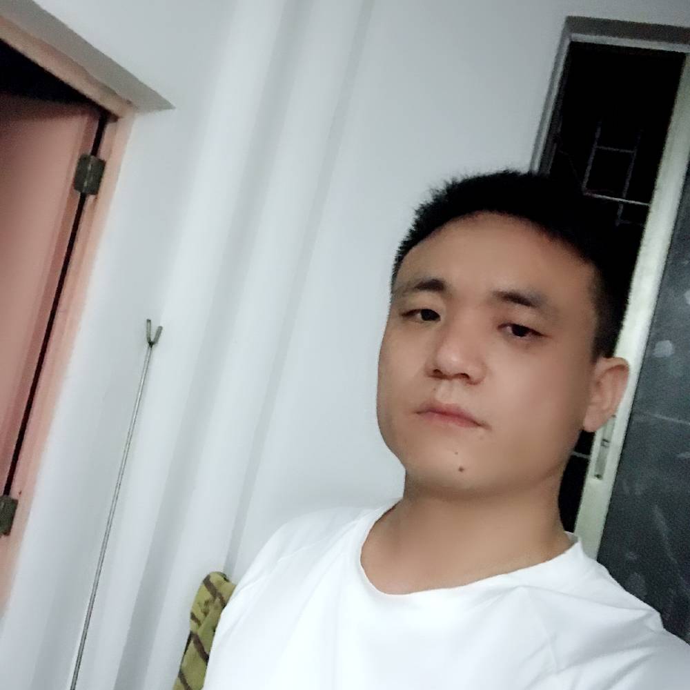 刺猬故意的照片