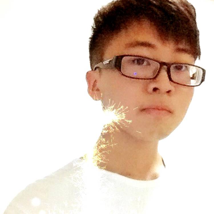噼里啪啦哈的照片