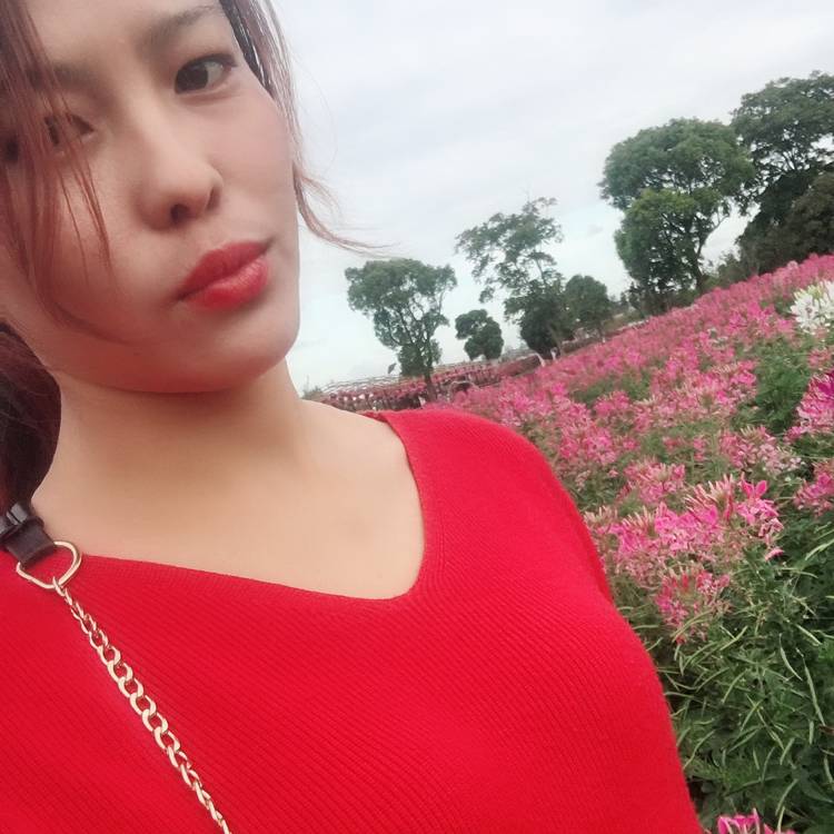 矮小向香氛的照片