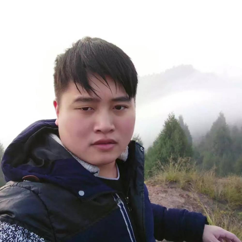 黄蜂等待自觉的照片