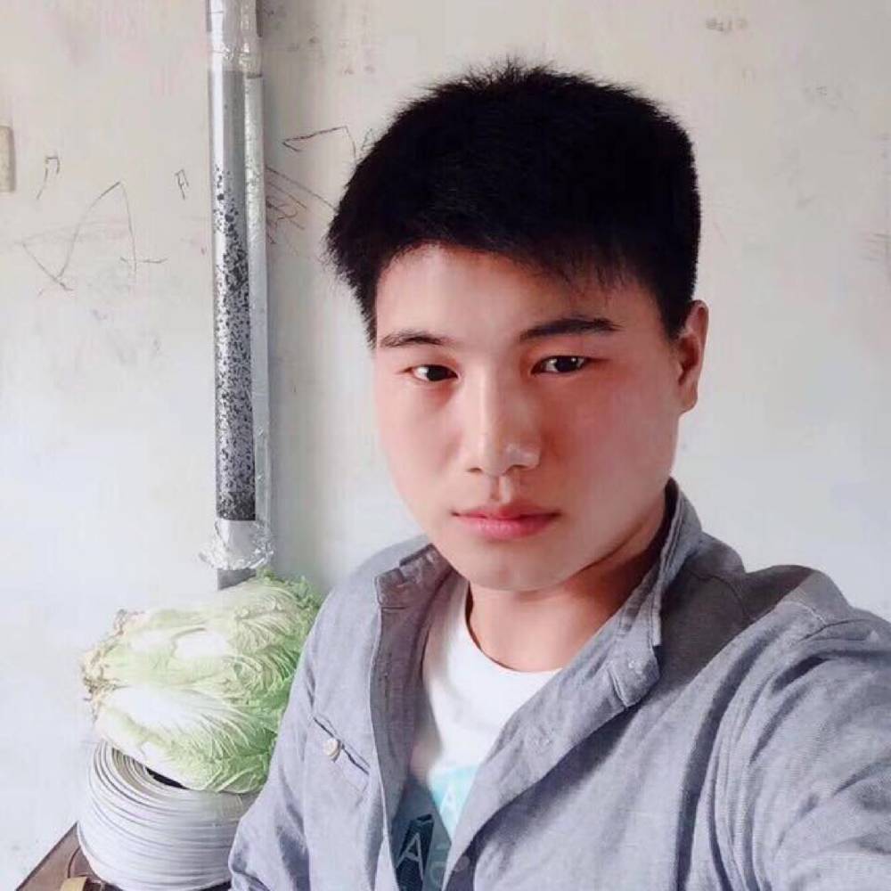 小刺猬深拥敏感的照片
