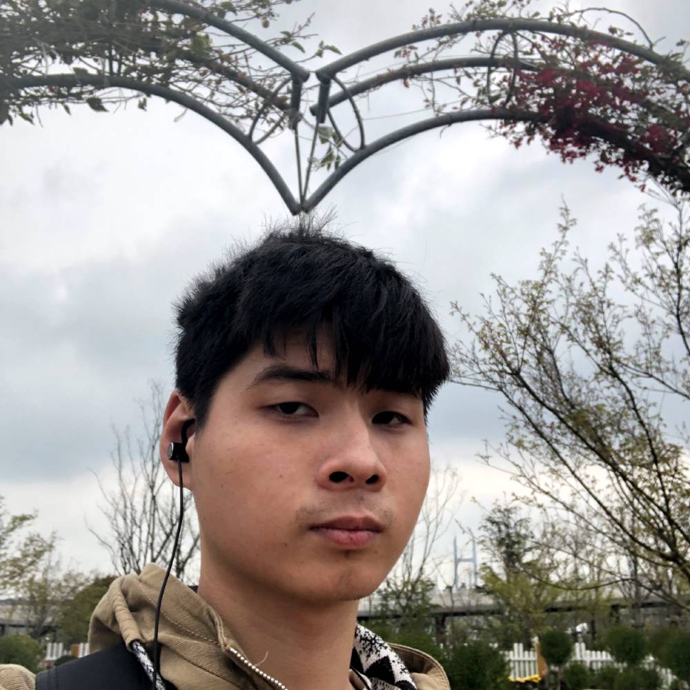 魁梧苦恋纸鹤的照片