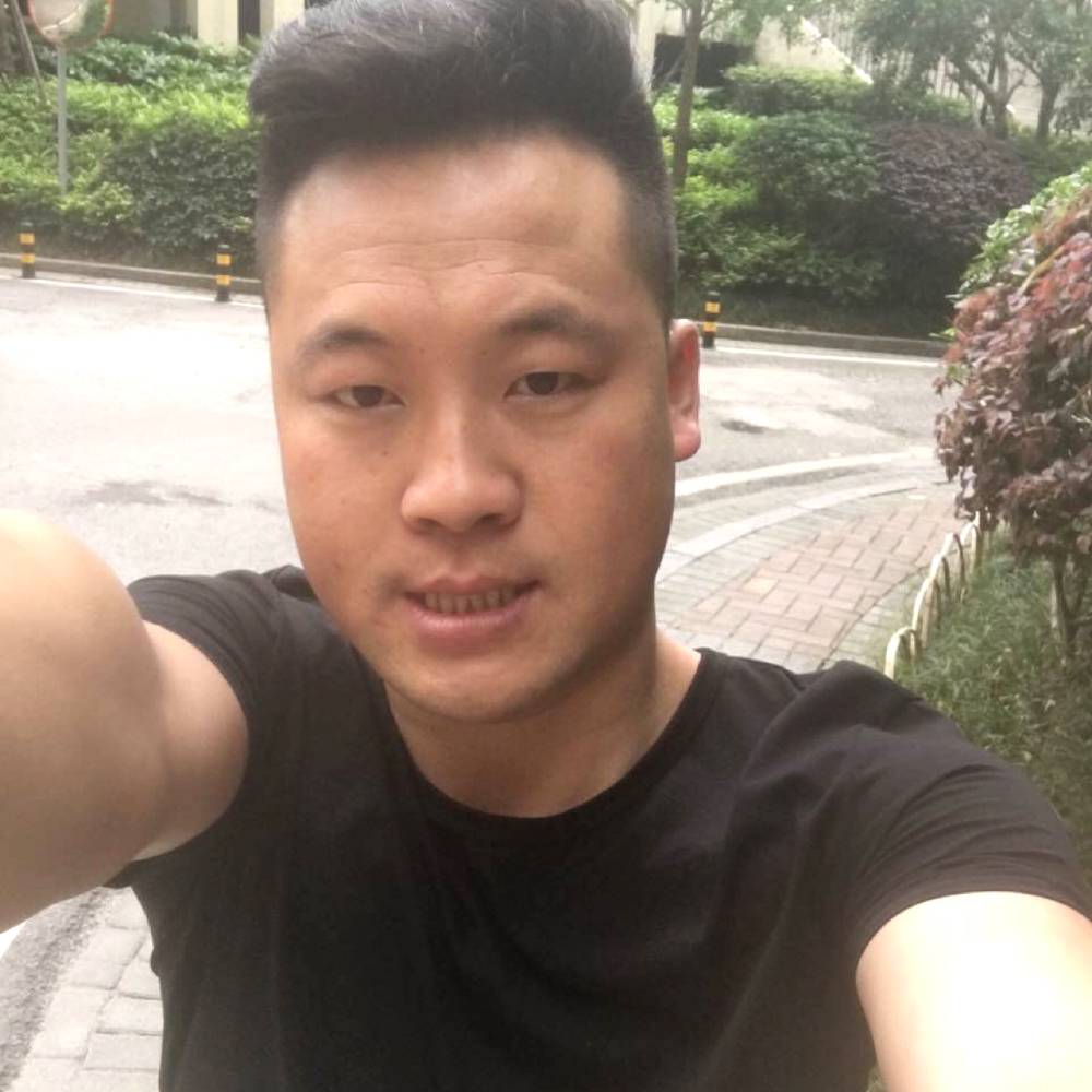 $$灰狼$$的照片