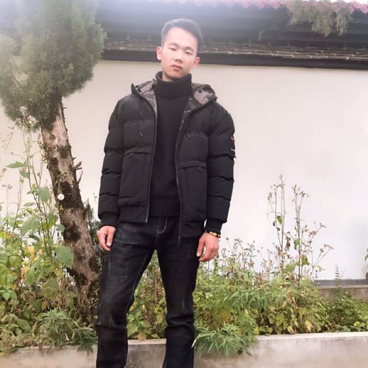 春天多么友好的照片
