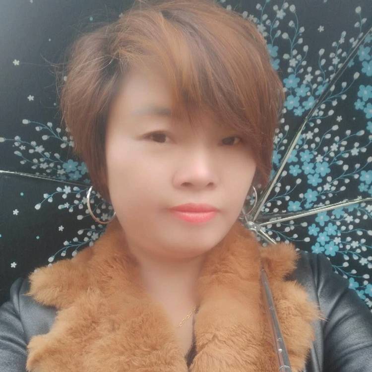 挪威的森林.的照片
