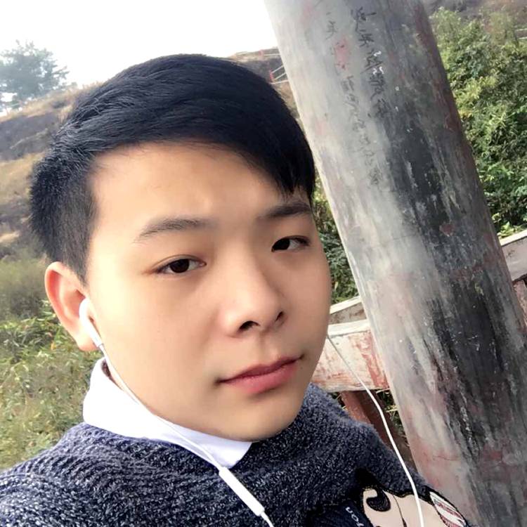 星夜之狼的照片
