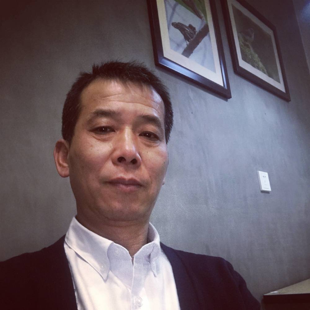 棒棒糖狂野的照片