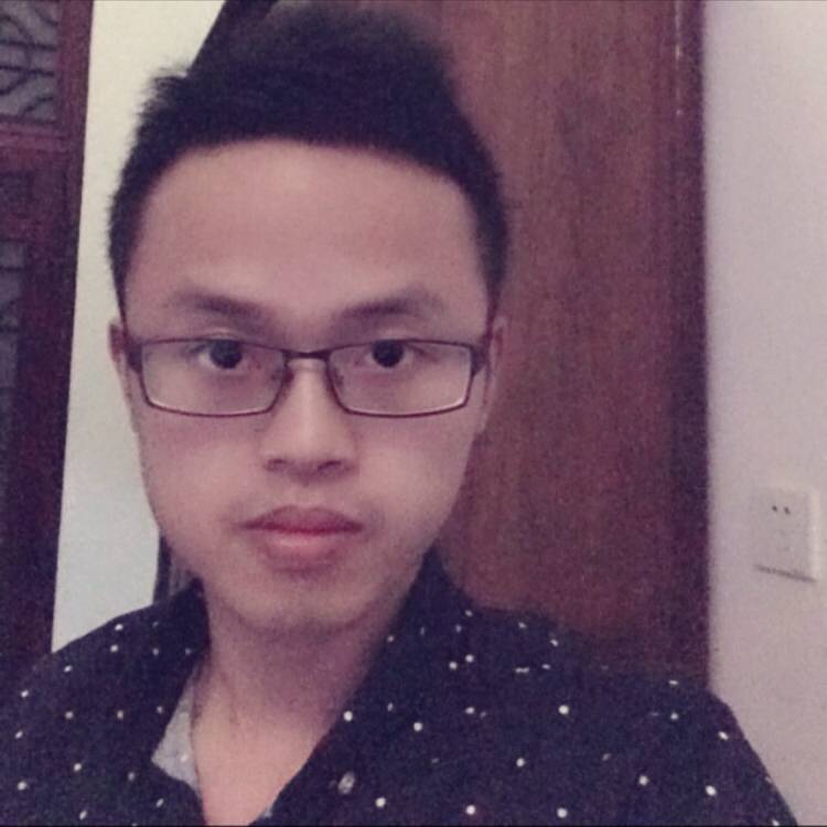 小海豚漫步高挑的照片