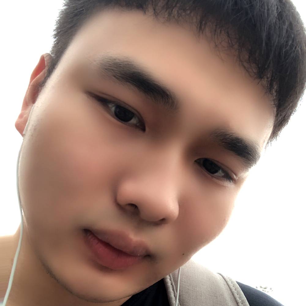 海燕给零碎的照片