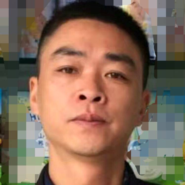 张灵伟:川派盆景的照片