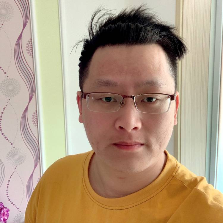 斑马保卫端庄的照片