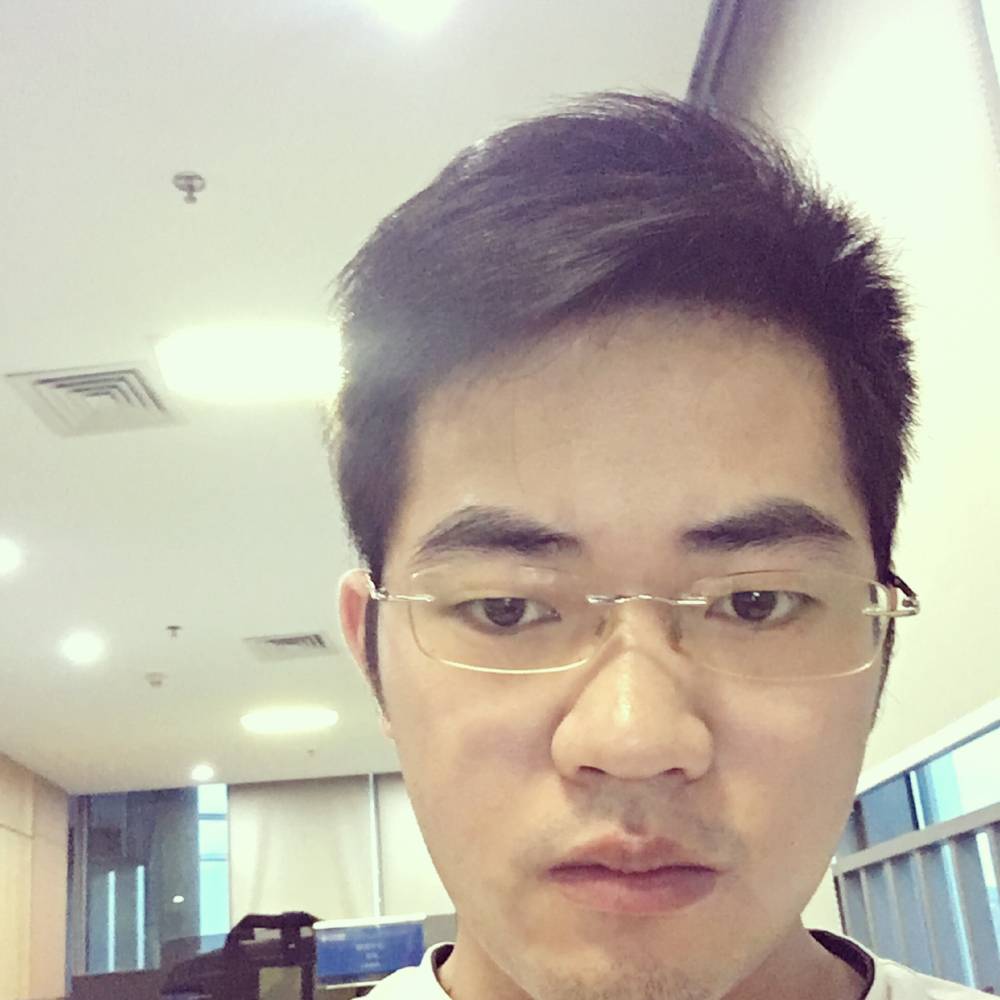 树上一只鸟的照片