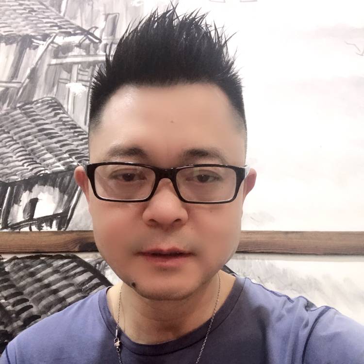 斑马有魅力的照片