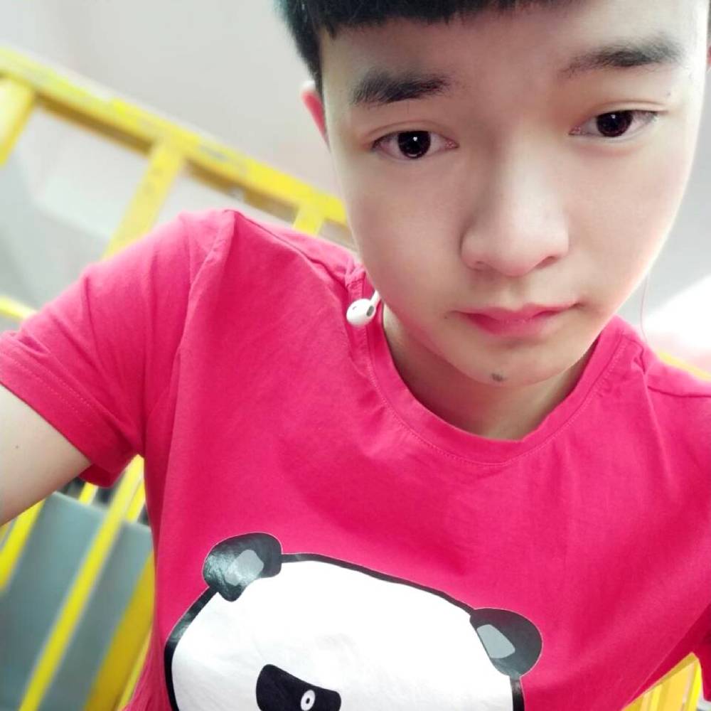 迅速回眸灰狼的照片