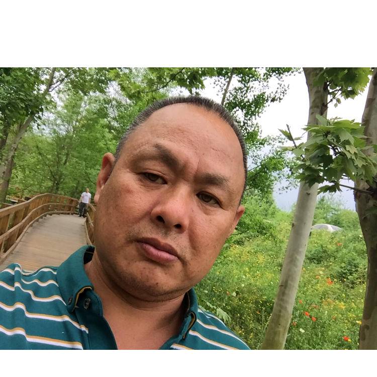 爱情回首机灵的照片
