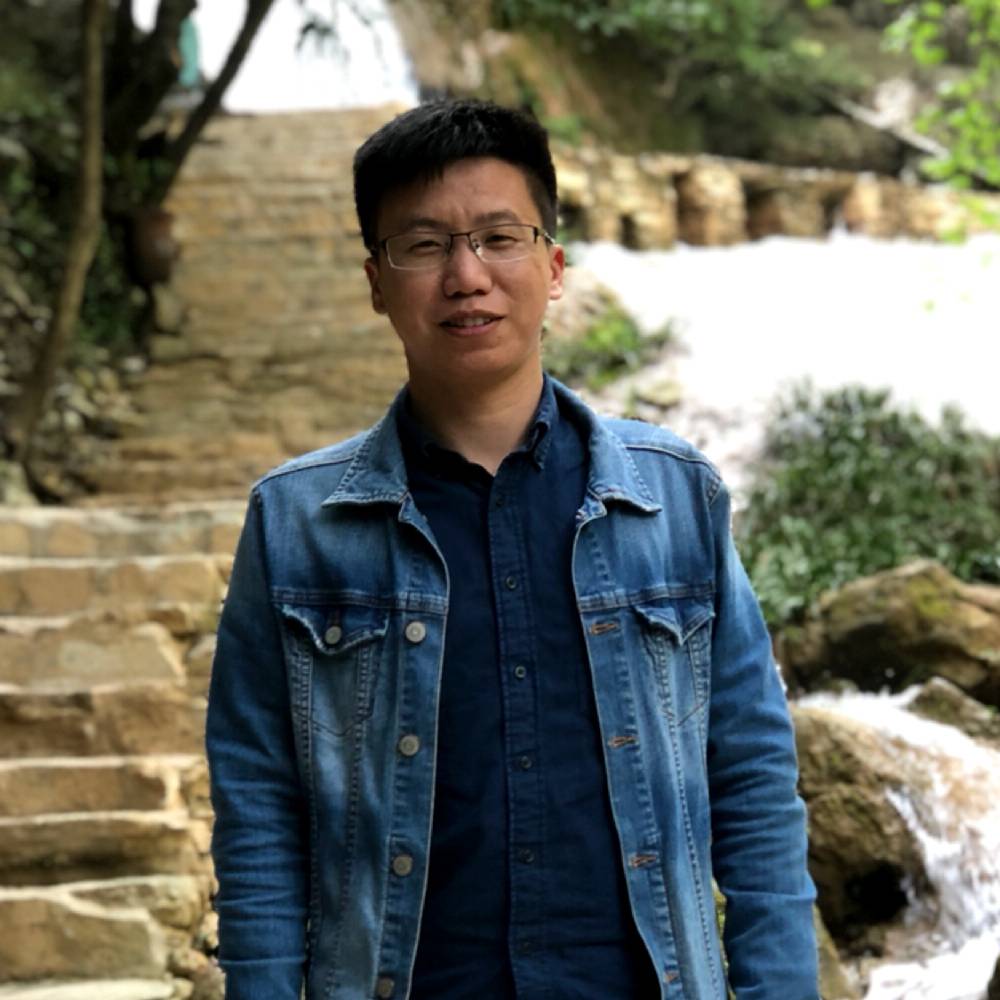 树叶的照片