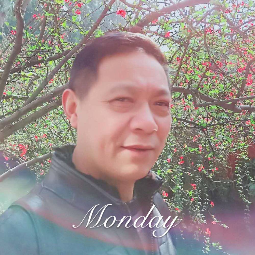 朝辉夕映的照片