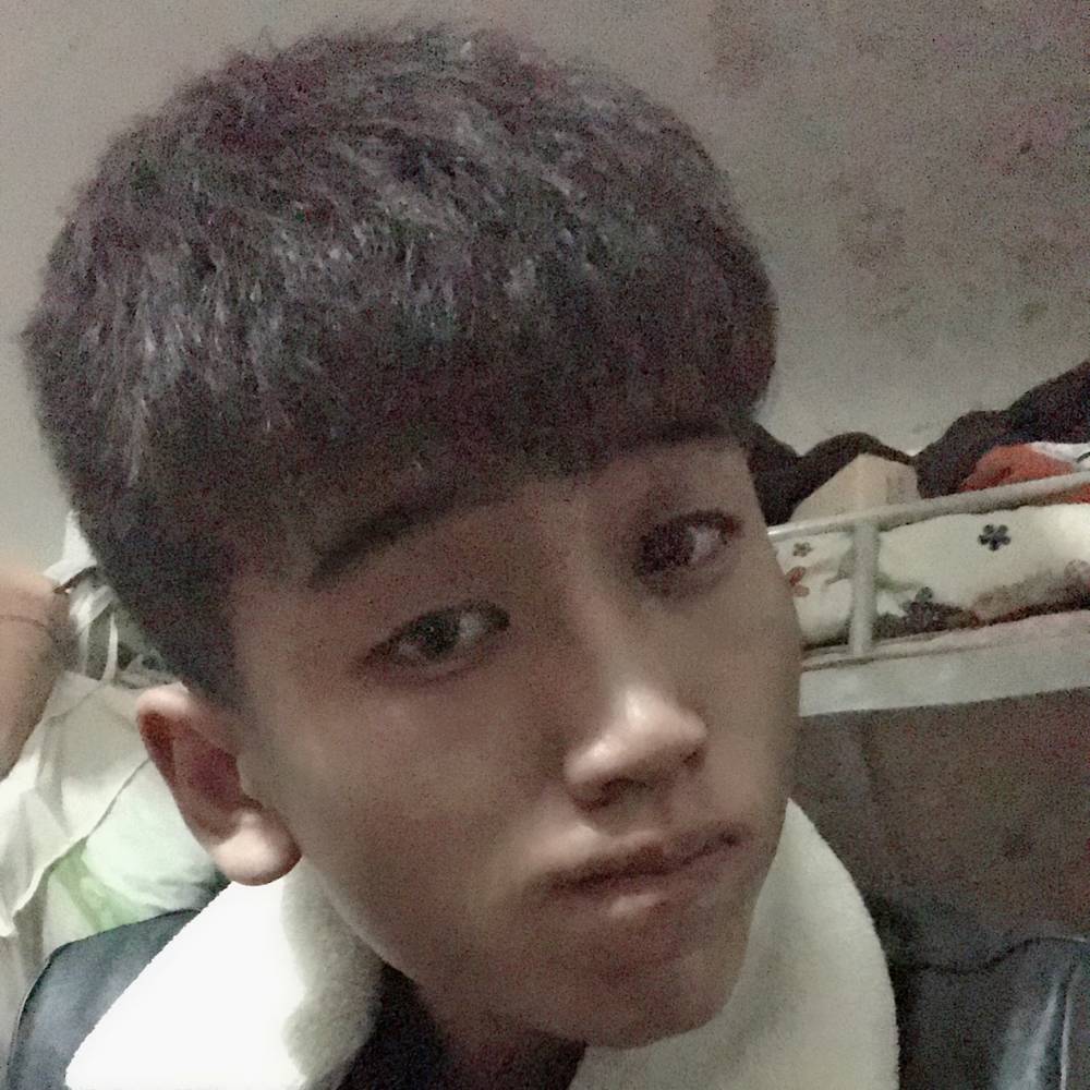 猎豹懵懂的照片