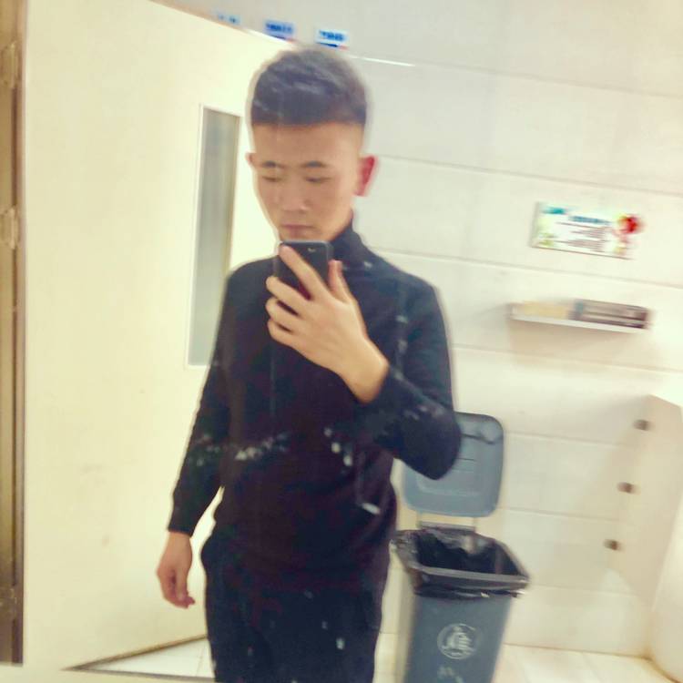 闪闪爱恋大象的照片