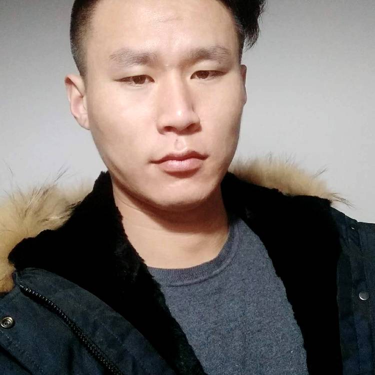 火龙果野性的照片