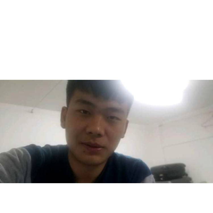 执着邂逅龙猫的照片