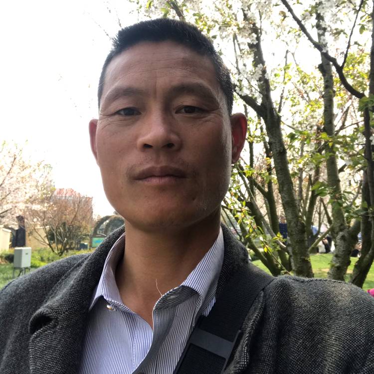 上海更美丽的照片