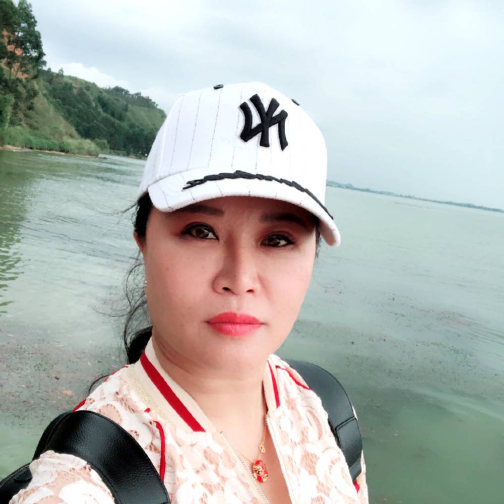 叶子的照片