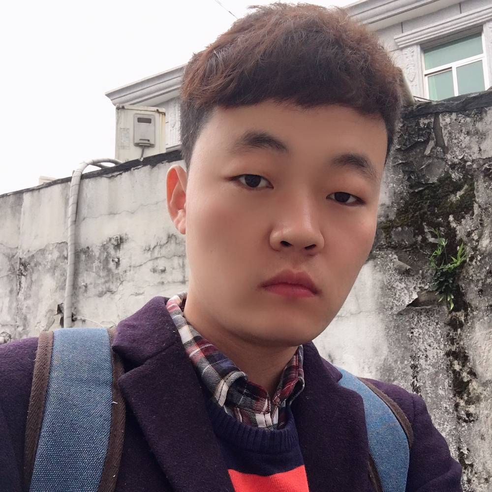 睡在树上的猫的照片