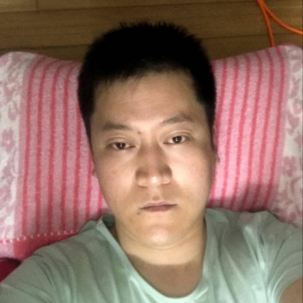 我的大黄蜂的照片