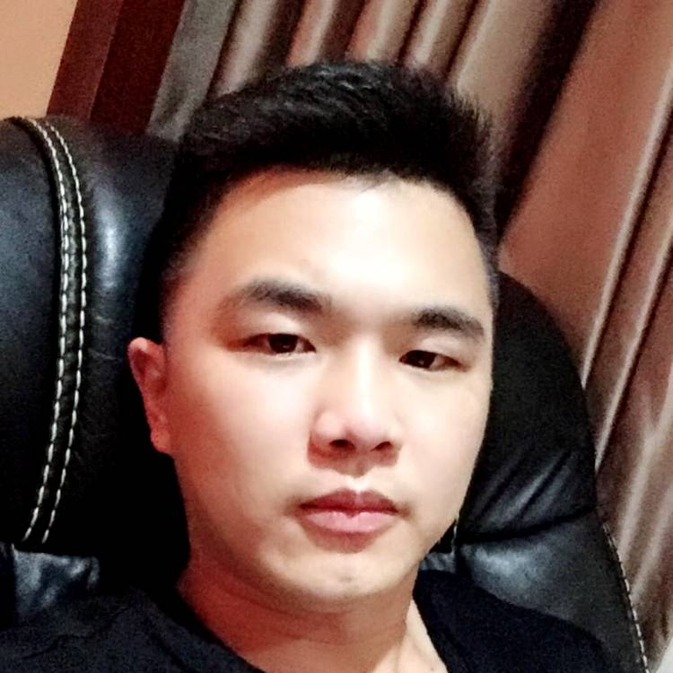 白猪的照片