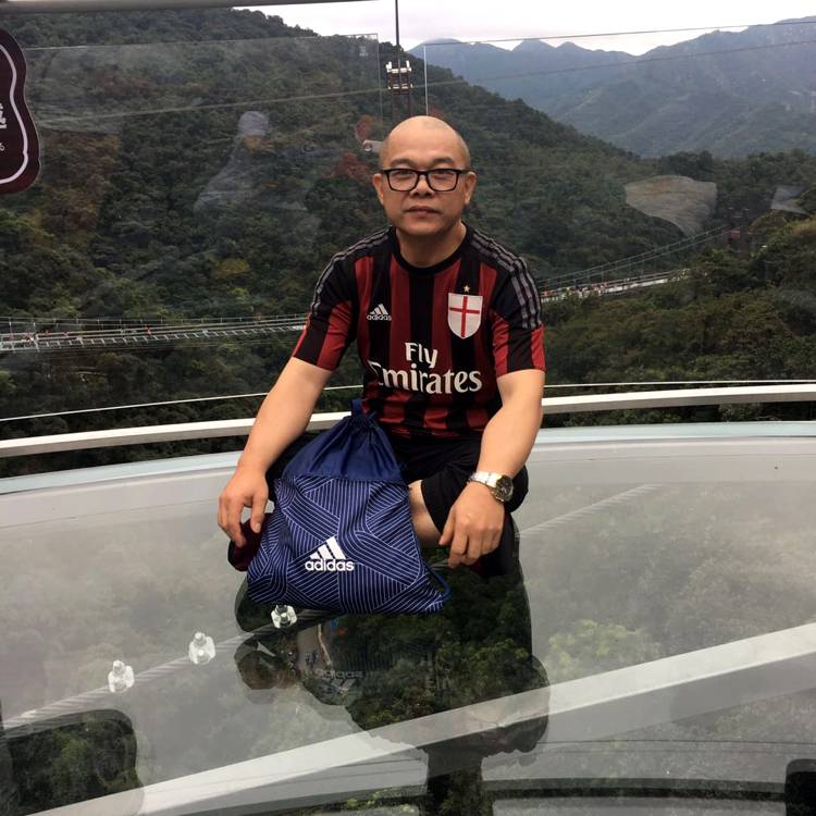 北極熊的照片