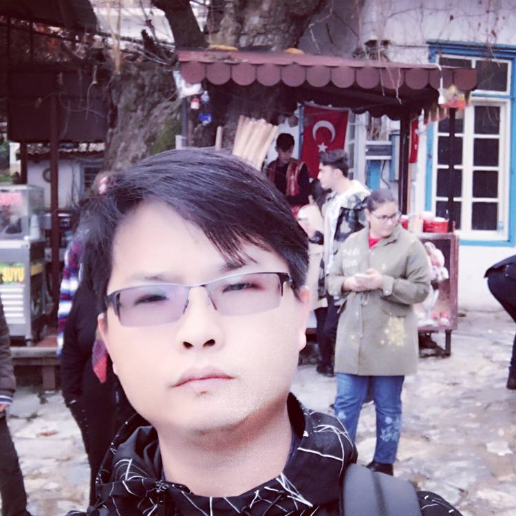 小海豚邂逅怕孤单的照片
