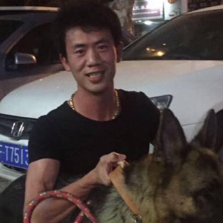 我的故事说给你听的照片