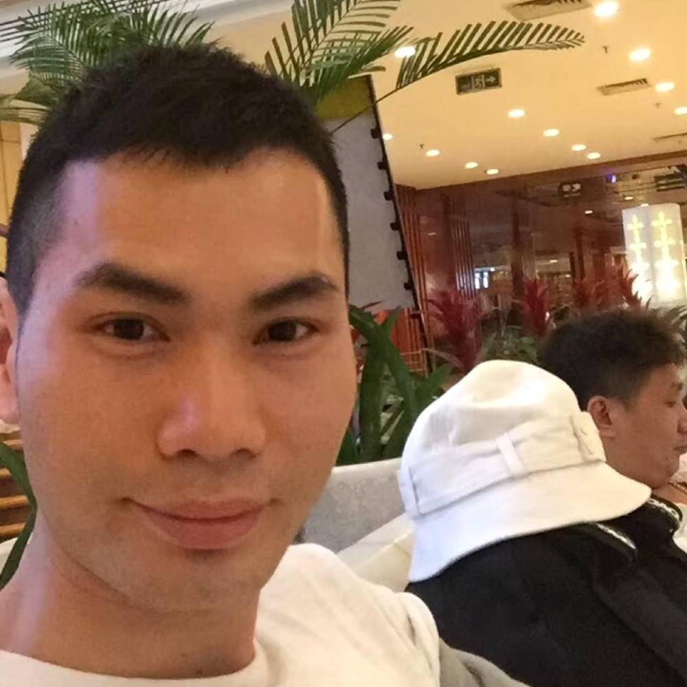 彪壮的龙猫的照片
