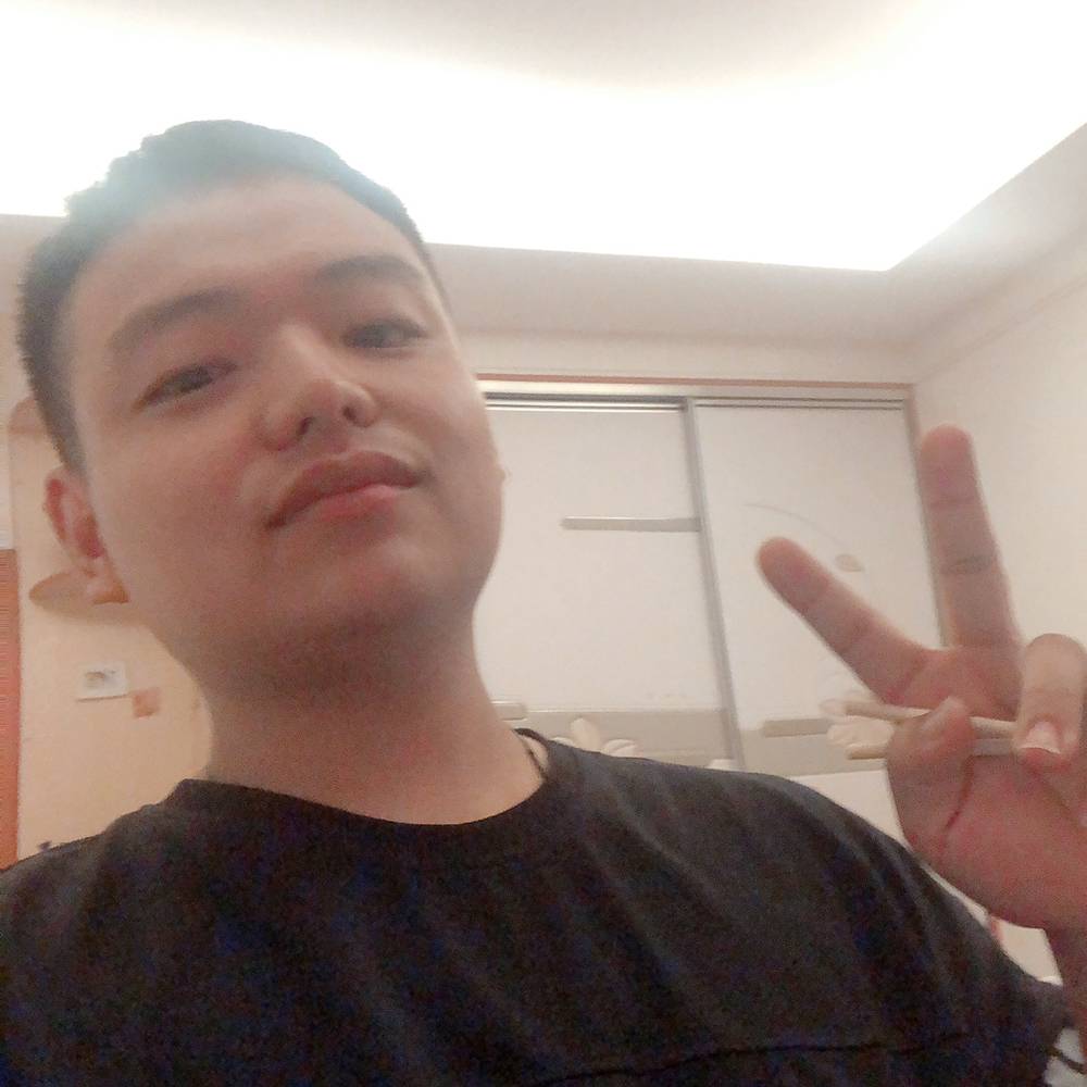 杀手的猫的照片