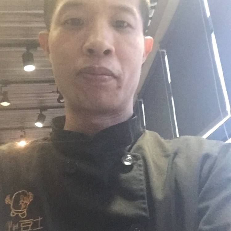 树上的毛毛虫的照片