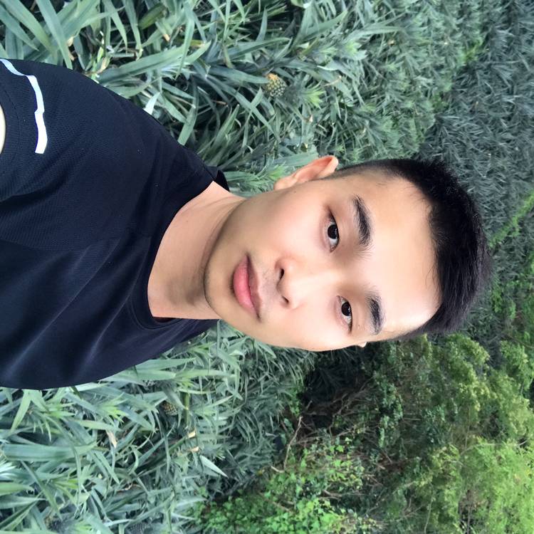 踏梦行的照片