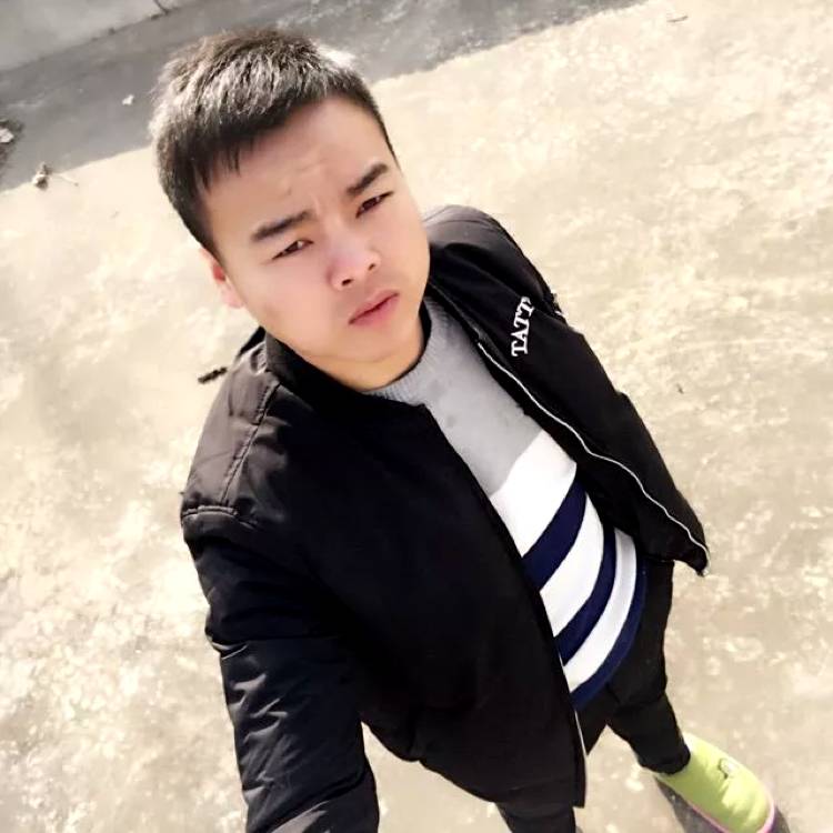 夕阳成就的照片