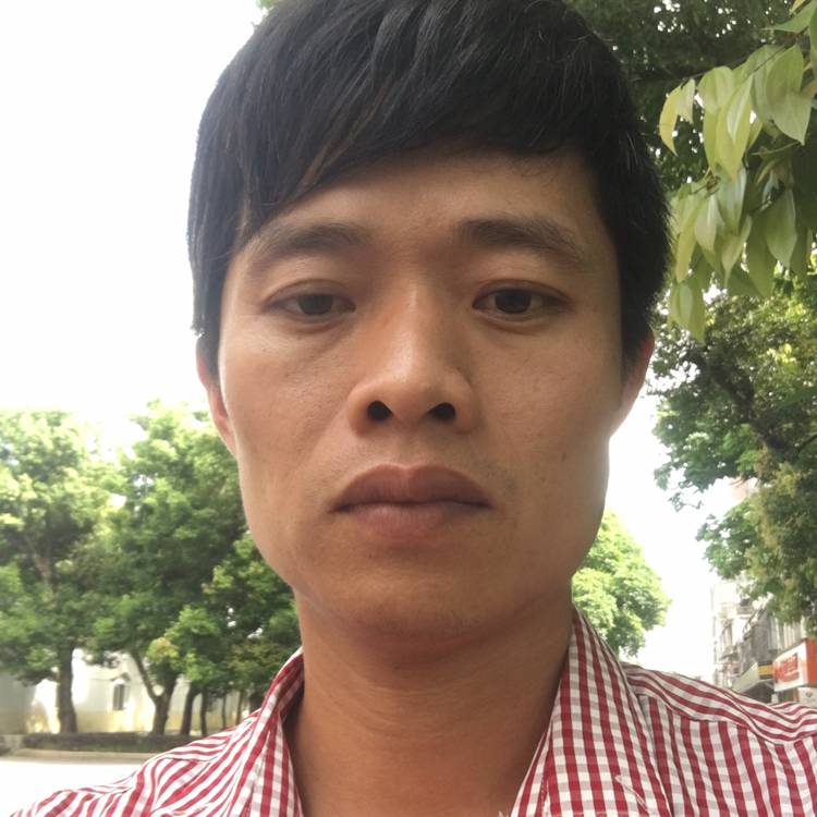 仙人掌给老实的照片