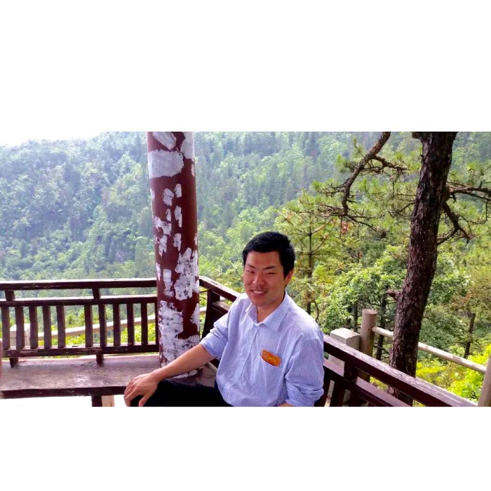 灰狼請微笑的照片