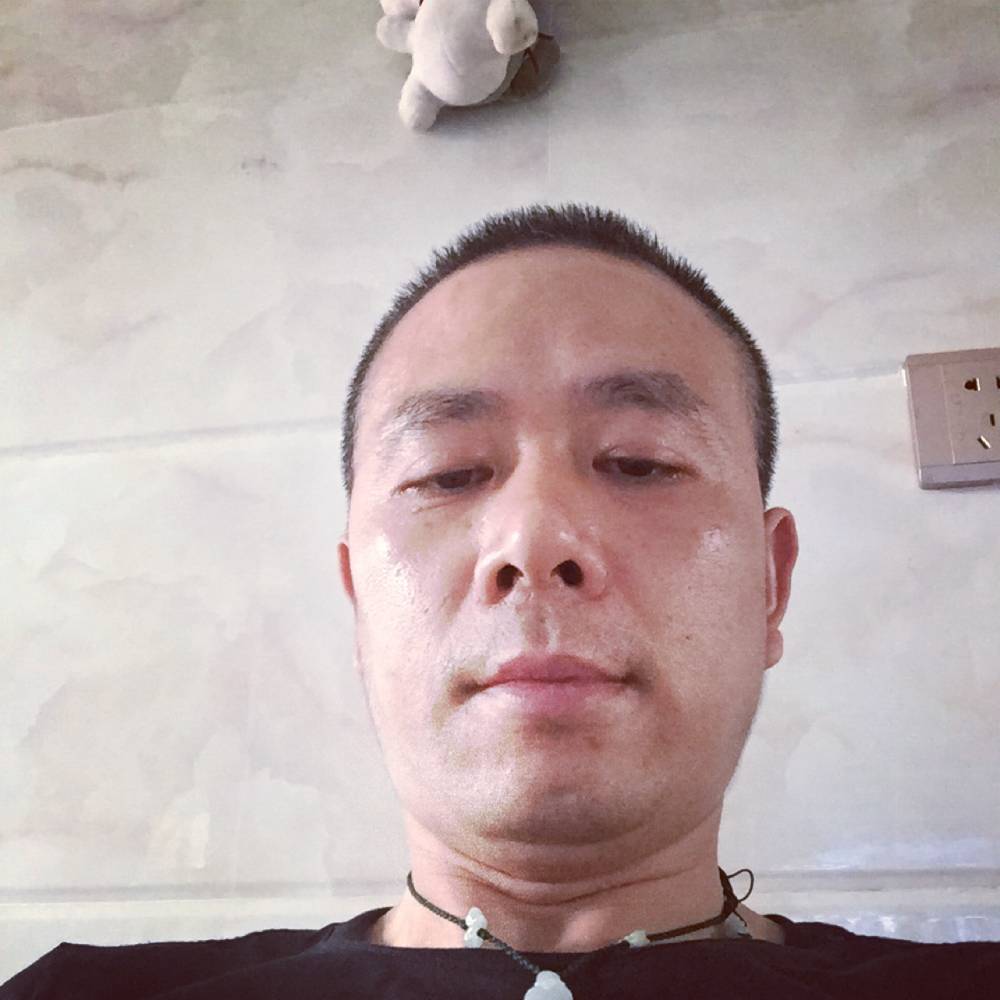 寒冷苦恋刺猬的照片