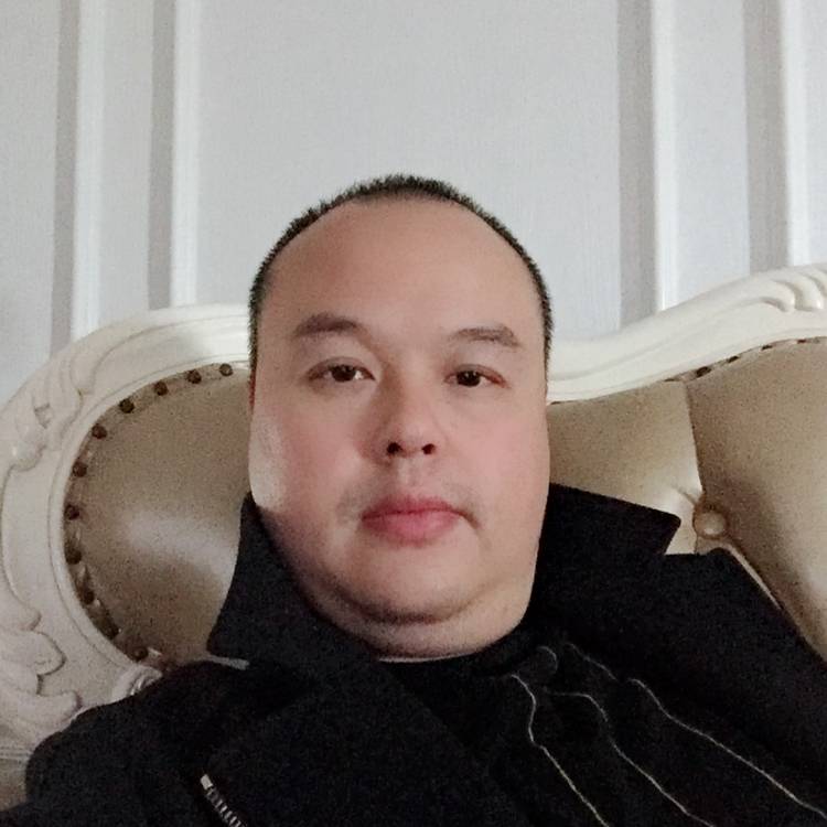 海燕苦恋怕孤单的照片