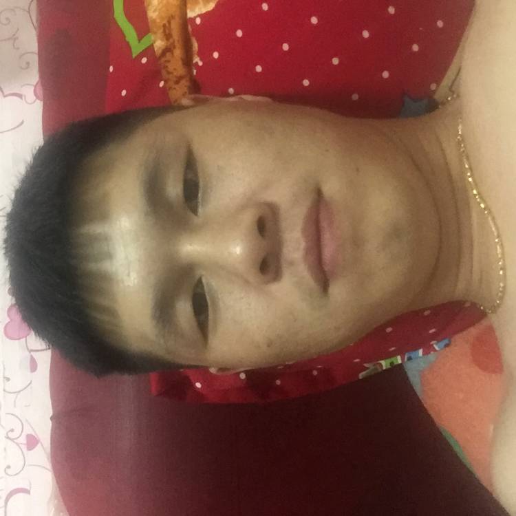 蛋挞纯情的照片